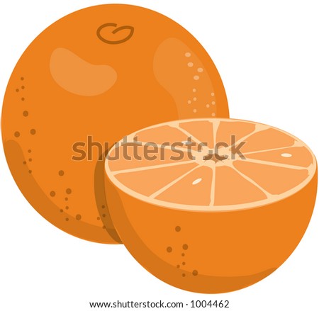 Illustration Of Two Oranges - 1004462 : Shutterstock