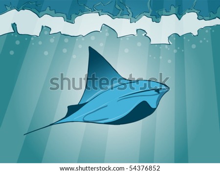 stock vector stingray handdraw picture