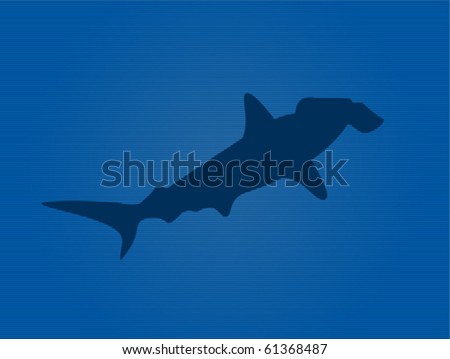 Hammerhead Shark Vector