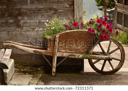 A rustic old wooden wheelbarrow filled with colorful flowers, in a rural mountain setting.