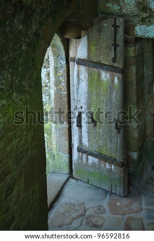 An old, mossy wooden door opens out from stone walls to a mysterious exterior in an old castle in France.