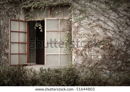 old chinese windows