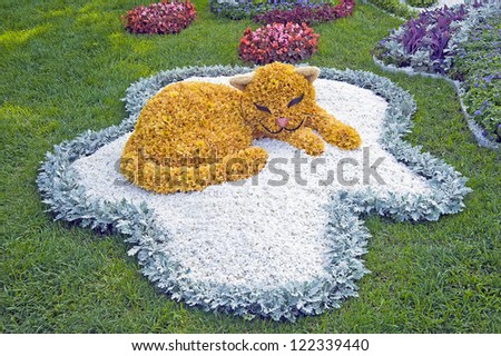 KIEV, UKRAINE - AUGUST 24: The fragment of the flower composition resembling the orange cat made of flowers at the 57th annual flower exhibition on August 24, 2012 in Kiev, Ukraine.