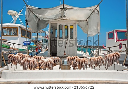 The boat in the port after the successful fishing with drying octopuses