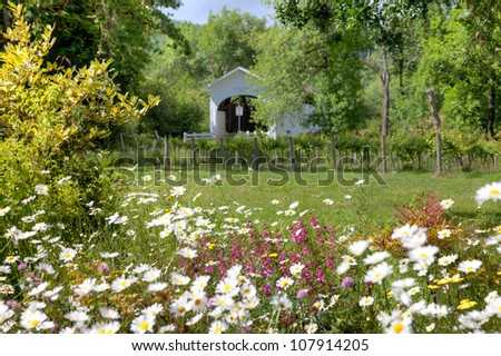 Harris Covered Bridge by a vineyard with lots of wild flowers Oregon USA America