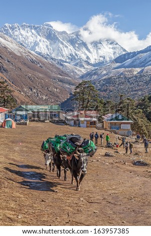 Trekking around Namche Bazaar and Everest Area Nepal