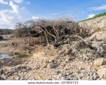 Wakara a remote area of Curacao   in the Dutch Antilles a Caribbean Island