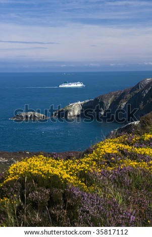 View to South Stack Lighthouse and its island with yellow gorse and purple heather