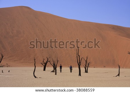 Sossusvlei and the deadvlei where the 600 year old petrified trees sit on a dried up lake bed