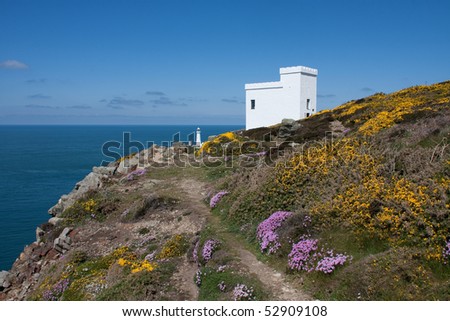 Ellins Tower and South Stack Lighthouse in spring with gorse birds everywhere