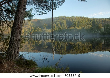 This loch has a beaver lodge and 5 beavers on the Aigas estate in the Scottish Highlands