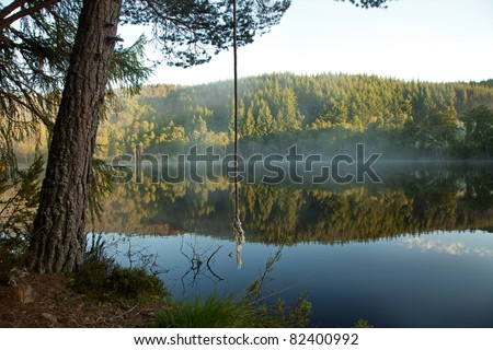 This loch has a beaver lodge and 5 beavers on the Aigas estate in the Scottish Highlands