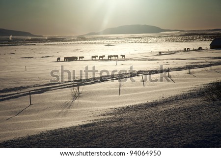 General winter views of Iceland in the Arctic Circle with sunshine