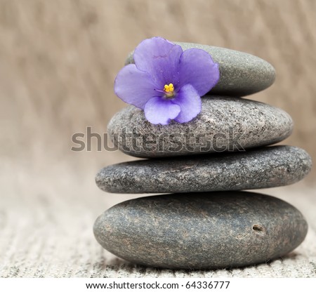 Balanced Stones and flower