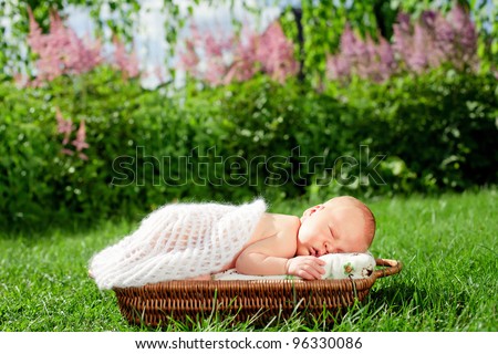 0-7 deys baby. New born baby, sleeps in basket , outdoor.