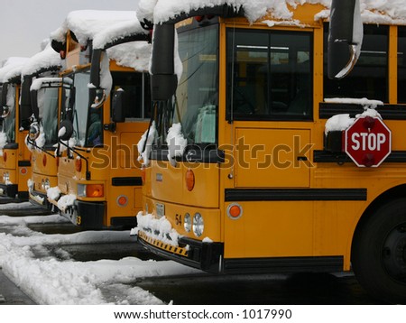 Four School Buses in the Snow