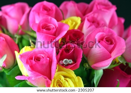 Roses and Diamond Ring