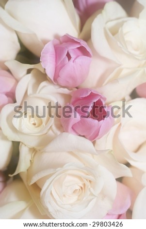 Roses And Tulips