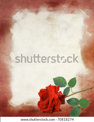 beautiful background with red rose