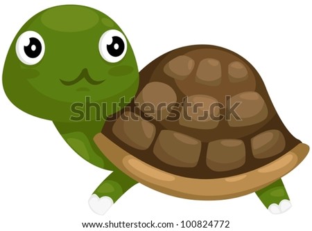 Cute Turtle Illustration