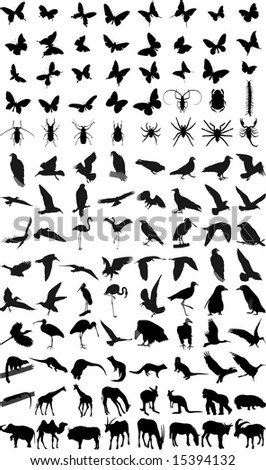 Many silhouettes of different animals and insects