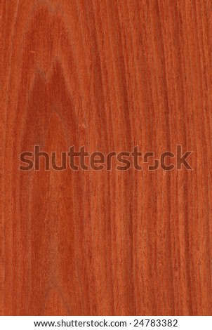 Texture of mahogany (high-detailed wood texture series)