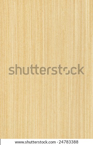 Texture of maple (high-detailed wood texture series)