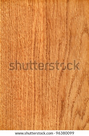 Texture of ukrainian oak (high-detailed wood texture series)