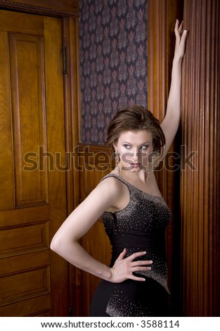 Beautiful young brunette woman dressed in an elegant evening gown posing for the camera.