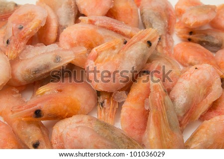 close up of frozen shrimps