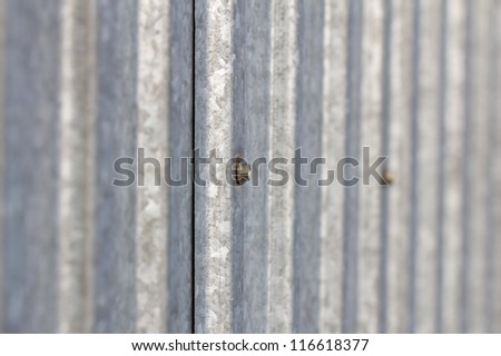 tin fence. background