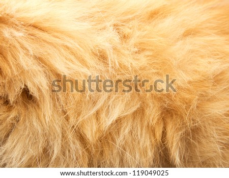 red animal\'s hair as background