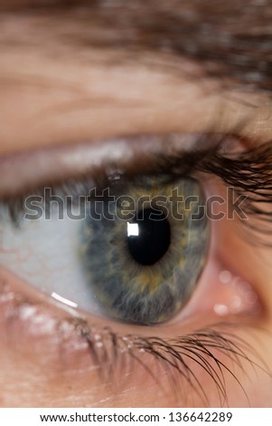 male eyes. macro
