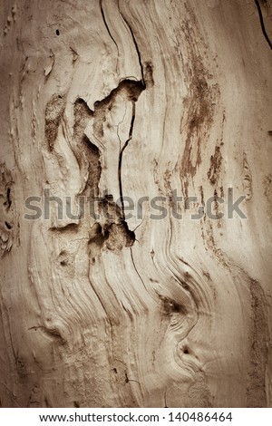 Background of old wood eaten by rodents