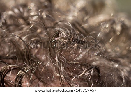 background of the hair. macro