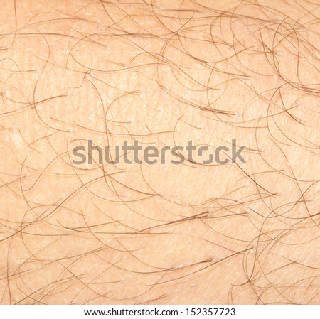 Background of the skin with hair. macro