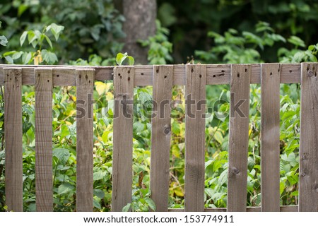 old wooden fence on the nature