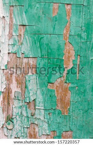 abstract background of old boards painted with green paint