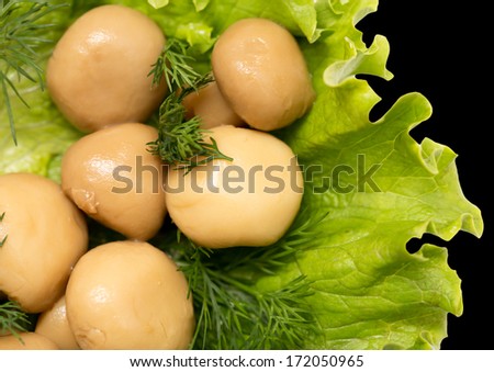 champignon mushrooms in lettuce leaves on a black background