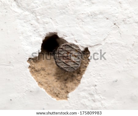 a nail in the wall. macro