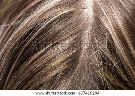 women\'s hair. macro