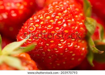 Fresh ripe perfect strawberry - Food Frame Background