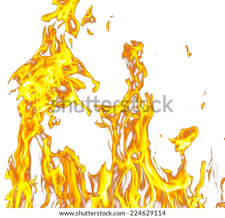 flames of a fire on a white background