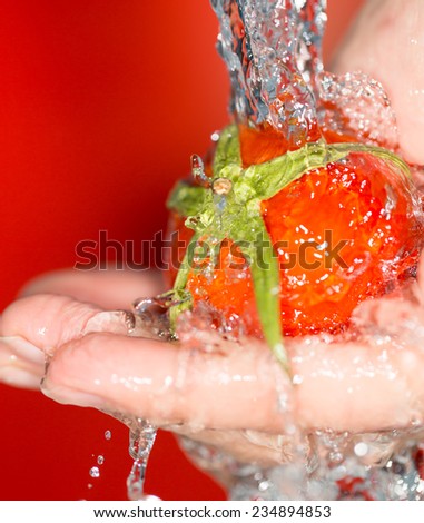 ripe tomatoes in his hand in the water on a red background