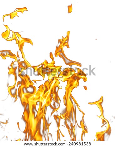Fire flames on a white background