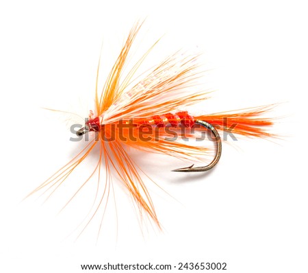 Fluffy fly fishing hook isolated on white