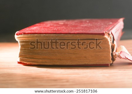 Red book on color background, education
