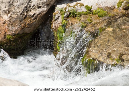 water from a spring in the mountains