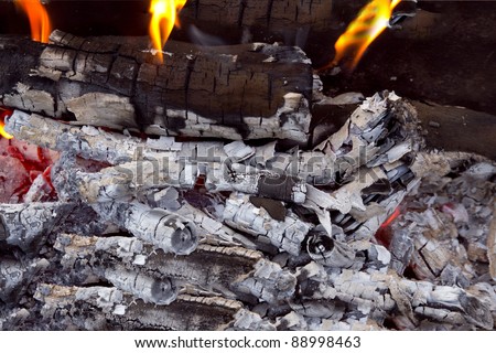 coal and wood ash from burning in an oven
