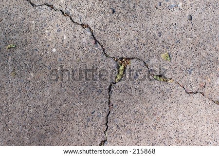 CRACK IN THE DRIVEWAY